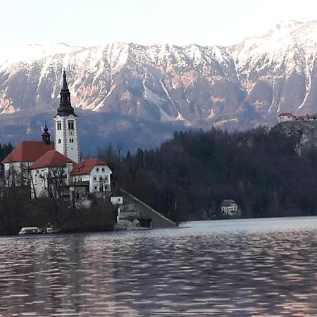 Alp Apartma Радовлица Экстерьер фото