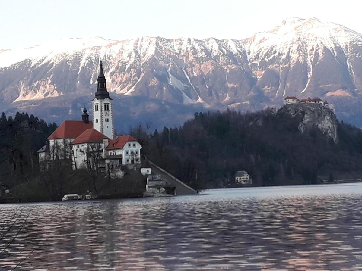 Alp Apartma Радовлица Экстерьер фото